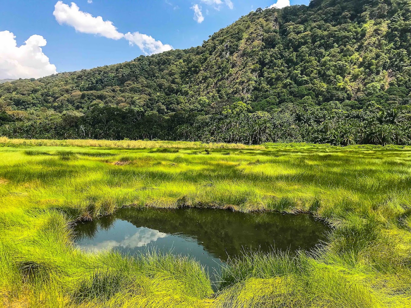 Semuliki National Park