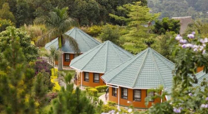 Top of the World Lodge