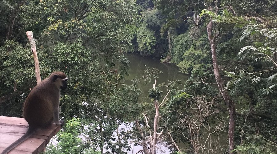 Lake Nkuruba Nature Reserve
